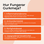 Hur Gurkmeja Gummies fungerar — inflammationsbroms, antioxidantsköld, rörlighetsboost och svartpeppar för 20-faldigt bättre upptag av curcumin