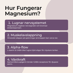 Hur fungerar magnesium gummies – lugnar nervsystemet muskelavslappning alpha-flow sömn
