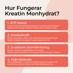 Hur fungerar kreatin monohydrat – ATP-boost muskelkraft snabbare återhämtning hjärnbränsle