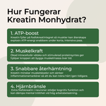 Hur fungerar kreatin monohydrat – ATP-boost muskelkraft återhämtning hjärnbränsle