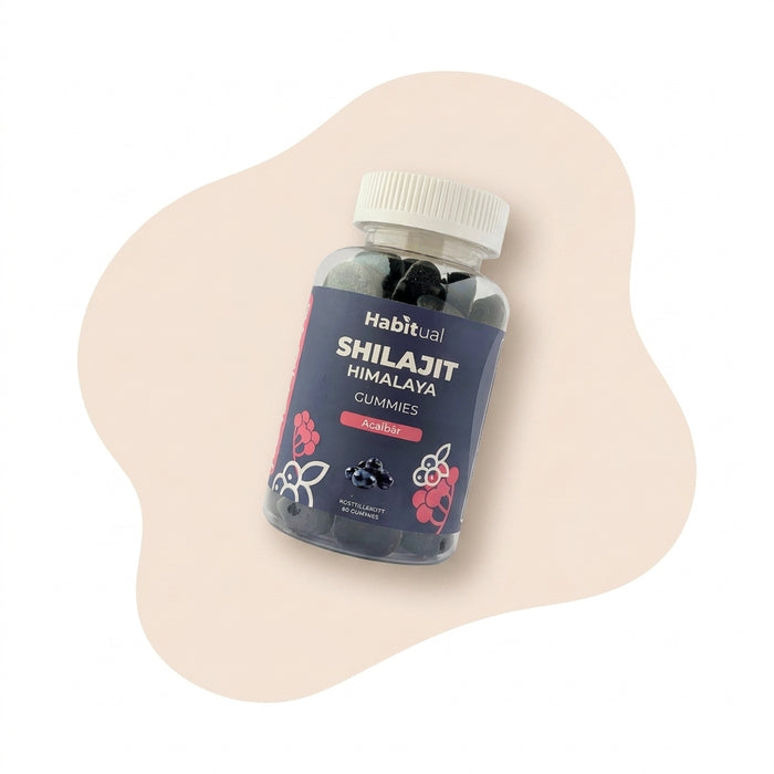 Naturlig energi från Himalayas djup