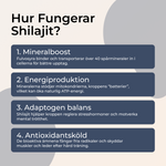 Hur fungerar shilajit – mineralboost energiproduktion adaptogen balans antioxidanter